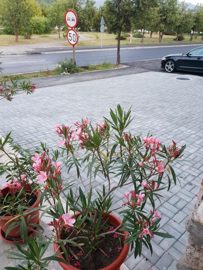 Pretty Garden Villa Orşova Exterior foto